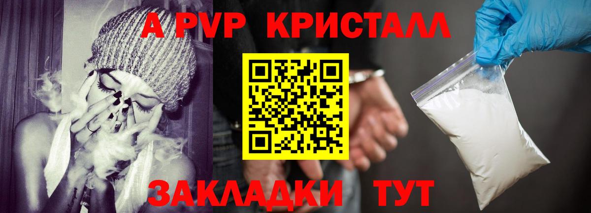Alfa_PVP СК КРИС Спасск-Дальний