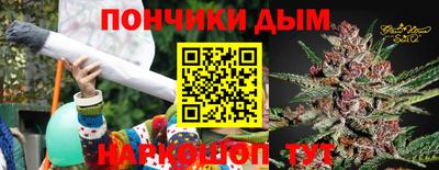 шишки Обь