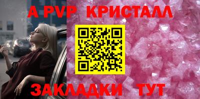 шишки Обь