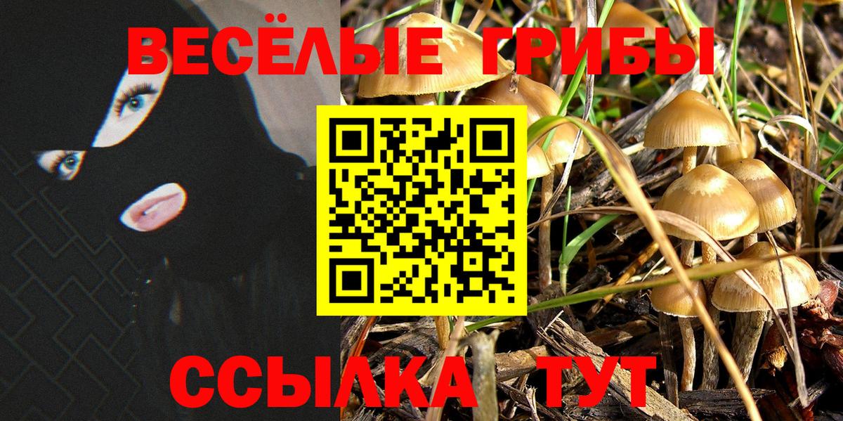 Спасск-Дальний  наркошоп  Вход с VPN  Галлюциногенные грибы Psilocybe 